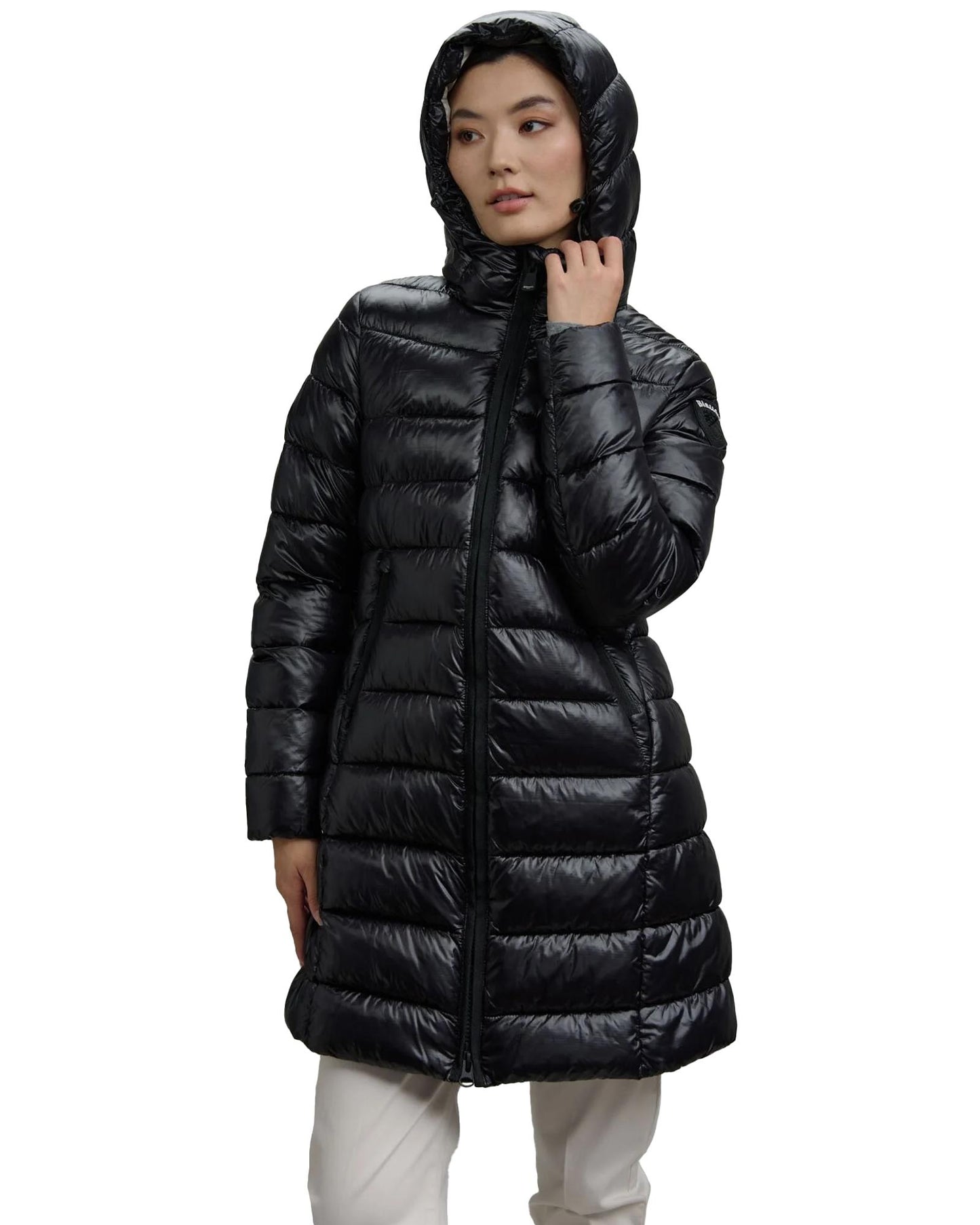 03d58e5c8e02b833b11127dadcced2d2604e1e88_A_244713