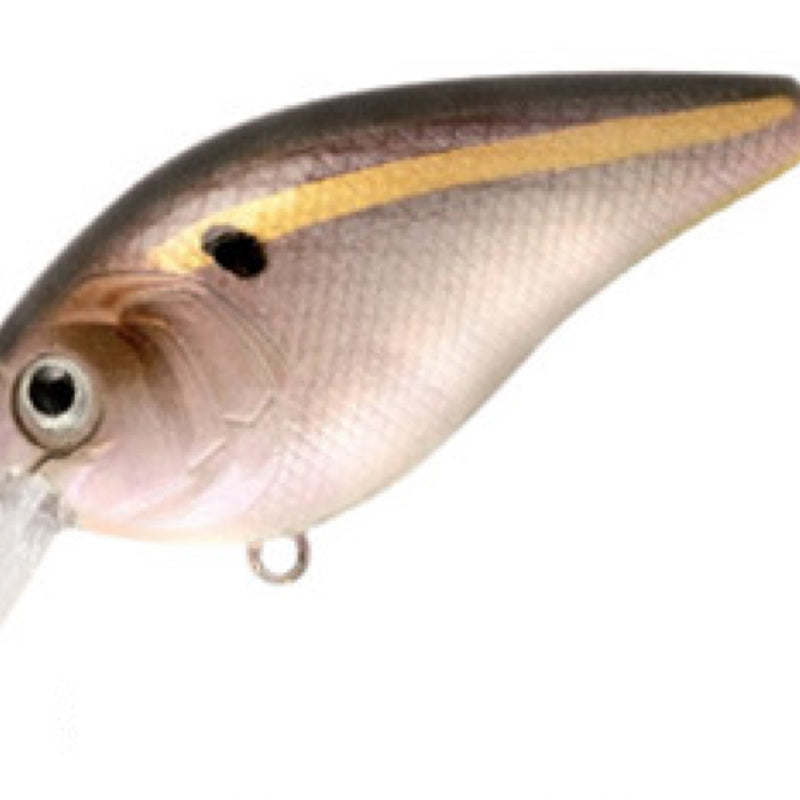 0ac729d5489d9ad0152b07b67bc2abe3d5f9061a_A_53954_10_15