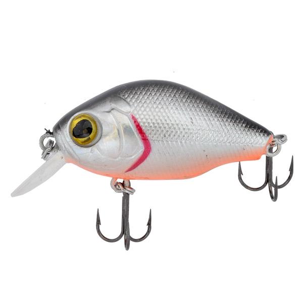 1bf1c04c347e83a62afc02e1ba0fc33f639c267f_A_13908_8_0