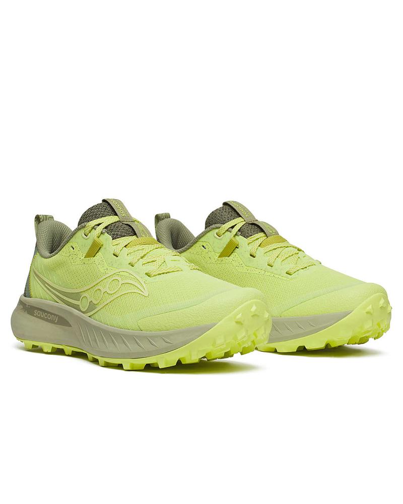 1dd70e3b34d320e0b90826e46da7e7994137275c_A_205412_5_0