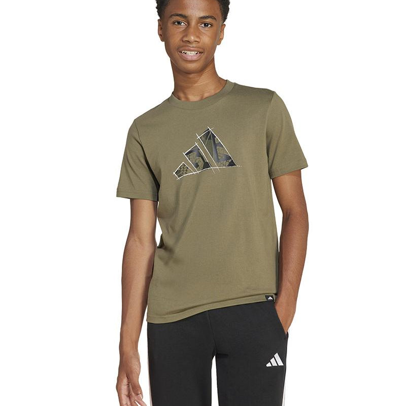 1f13d5c639283775e79112df7dda0840f567e37a_A_206189_10_15