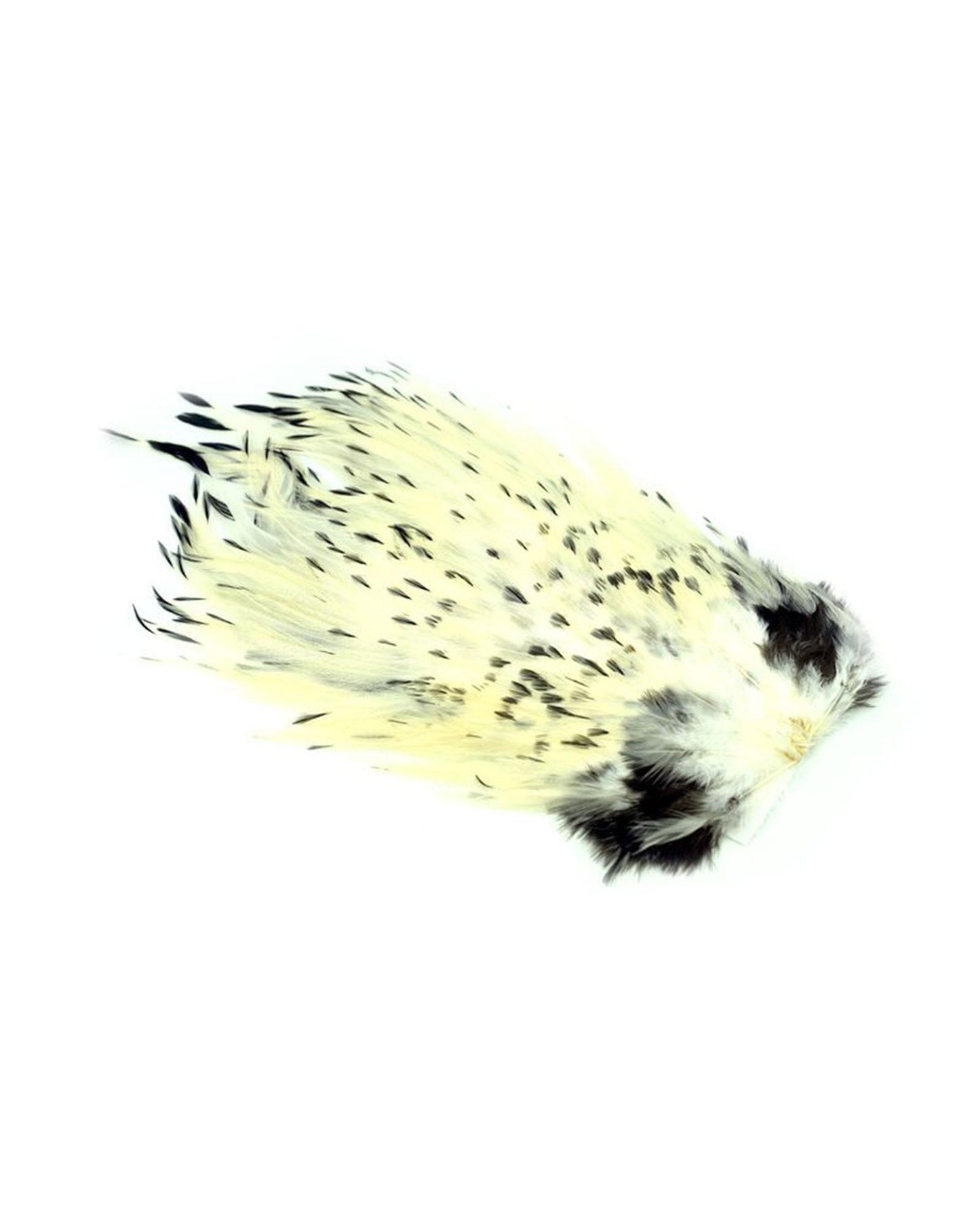 3425cabf8f316739afe02d3ca81d5549fcab197d_A_263146