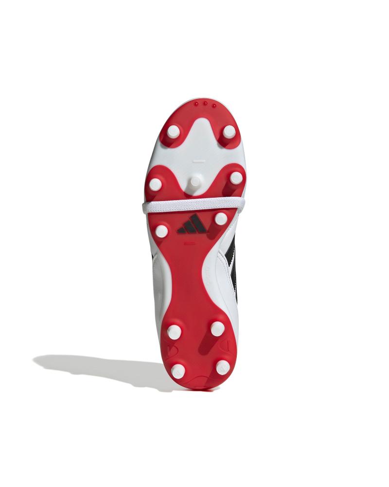 372d04391e051d75a65e4cc37fb2c7a390595be8_A_227177_7_0