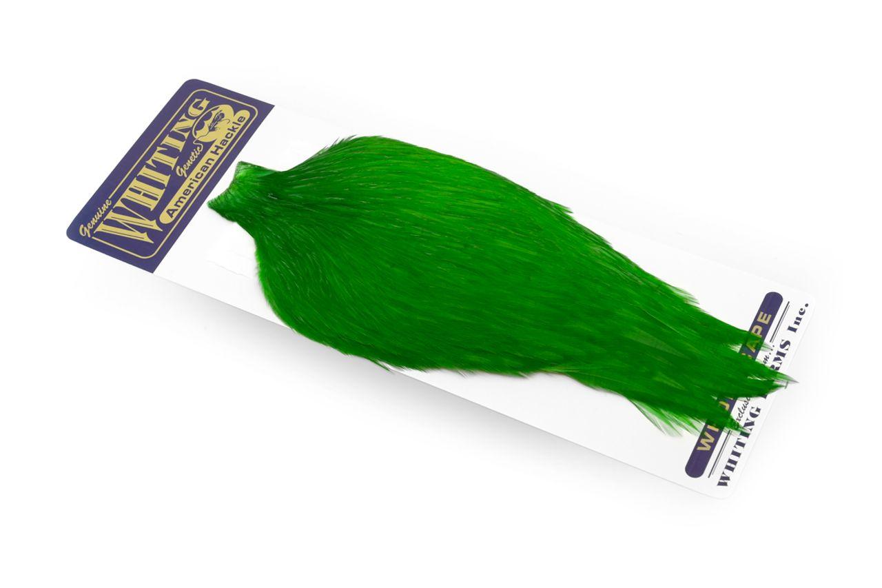 373963a8f94788a095262e1916e55082342ce64a_A_251640