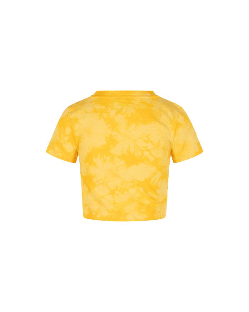 49c4ed6091c21eae91ae5ed2191326271ae8bc7b_A_209870_5_0