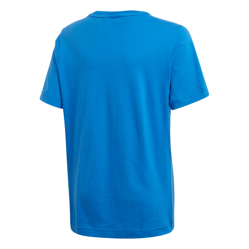 51cb1f20011f63e6f4ac00bac2e70ed9b479d33b_A_96454_1_0