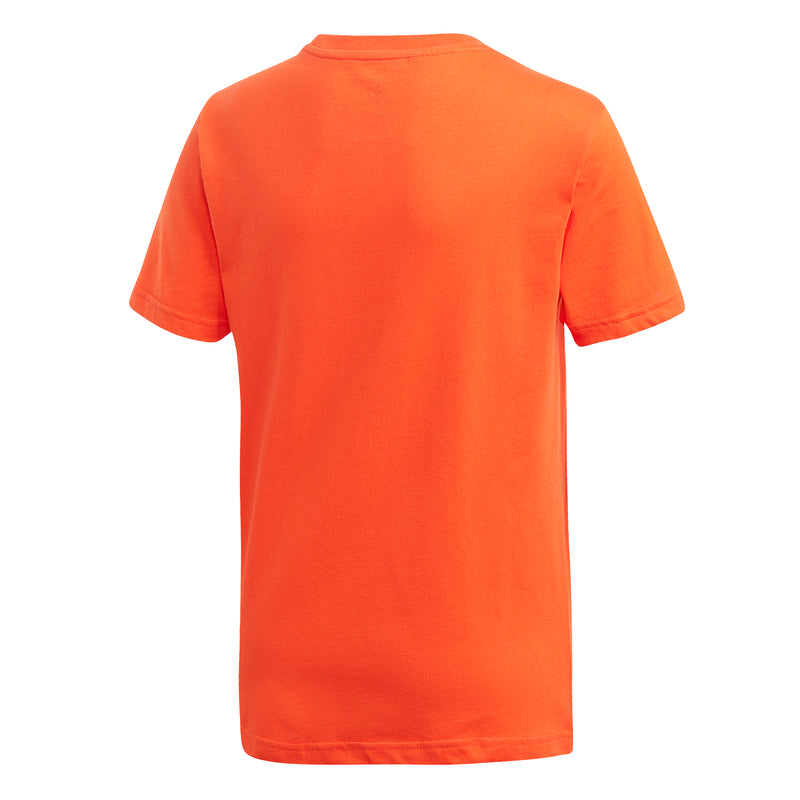 6337f458c1646d6ae06abc0982e04d50250df4af_A_80289_3_7