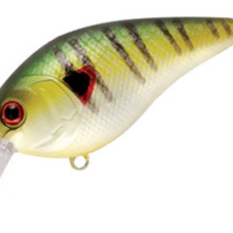 69882076889095e995ba1e238854a752022d9052_A_53954_10_0