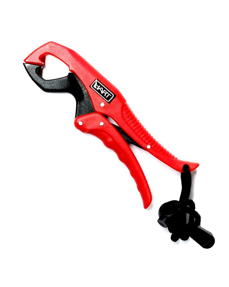 6ae057ad1e38aff00b83c1b78c85d1823c378b65_A_187323