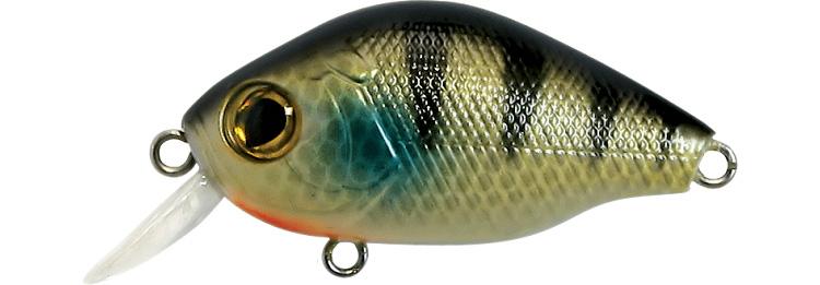 6c31a9ef5a380a2ec6bad72a3e9696161383cb4b_A_13908_13_0