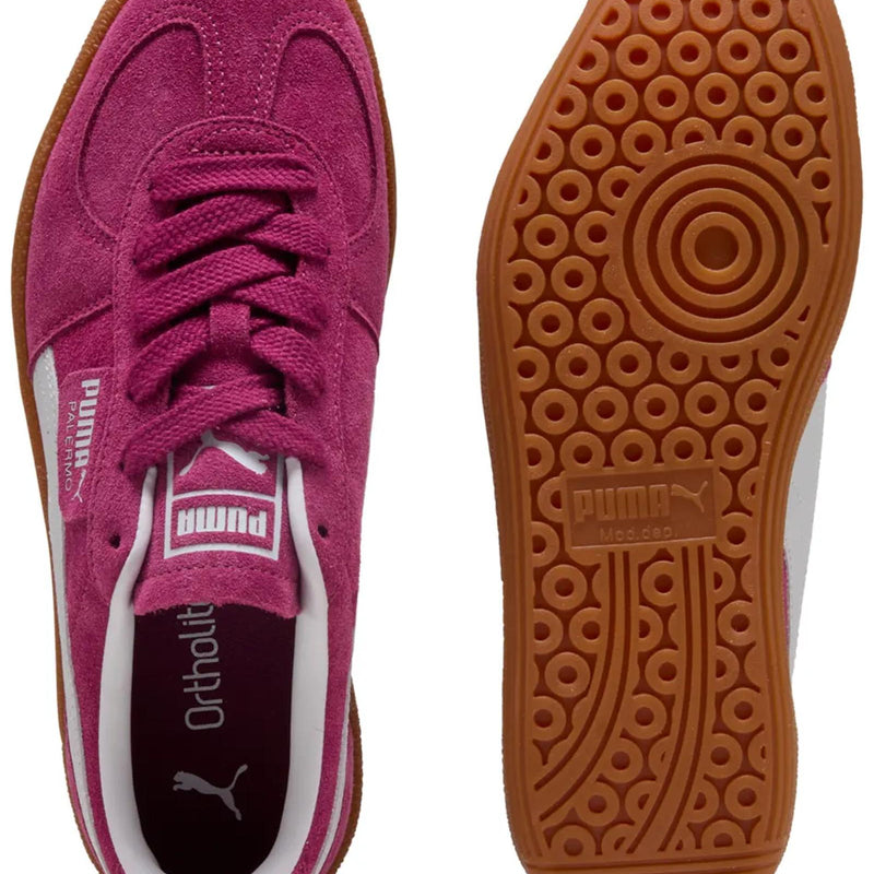 74c3785a2b5572cddba86c887a4793f8a525c041_A_242556_4_0