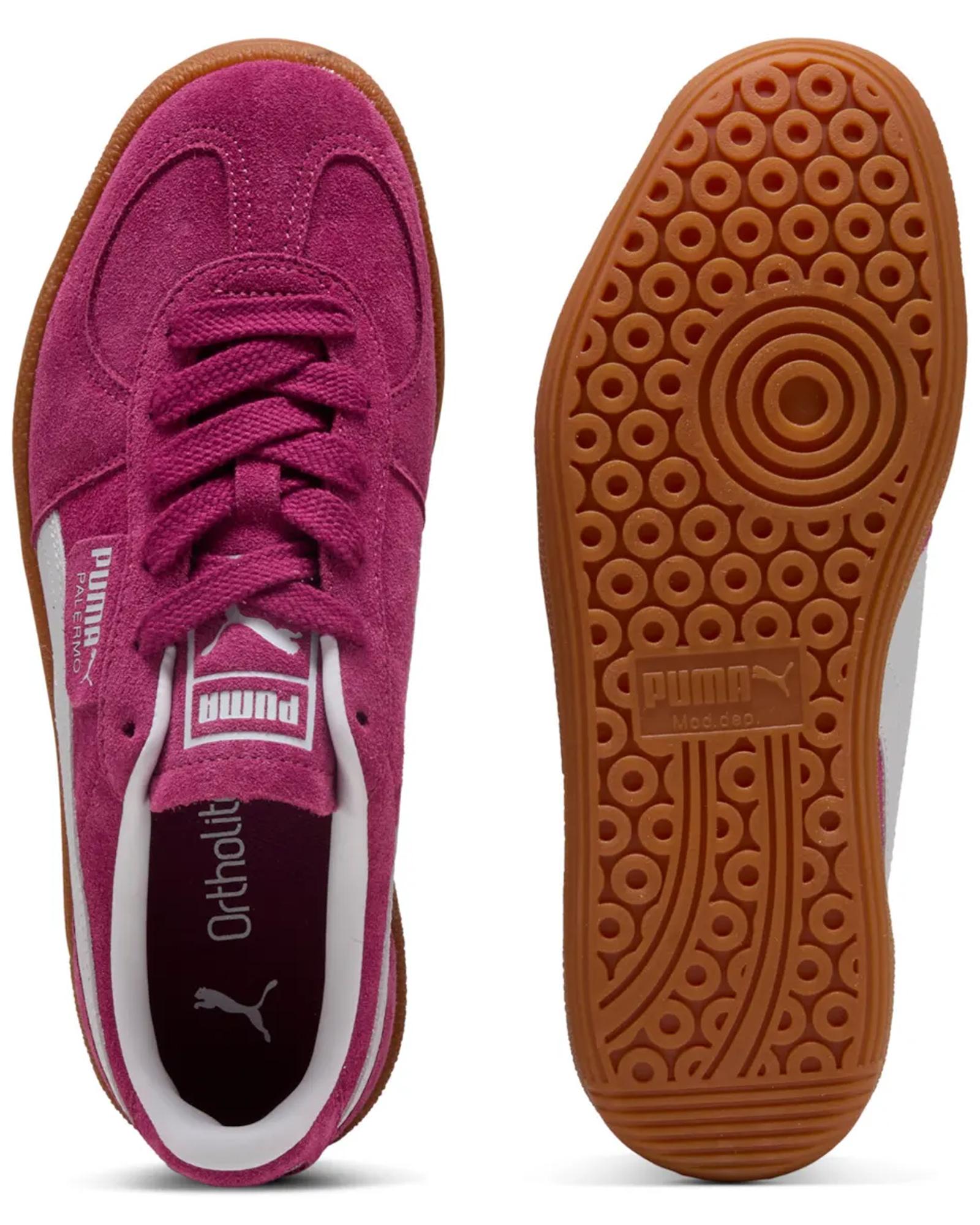 74c3785a2b5572cddba86c887a4793f8a525c041_A_242556_4_0