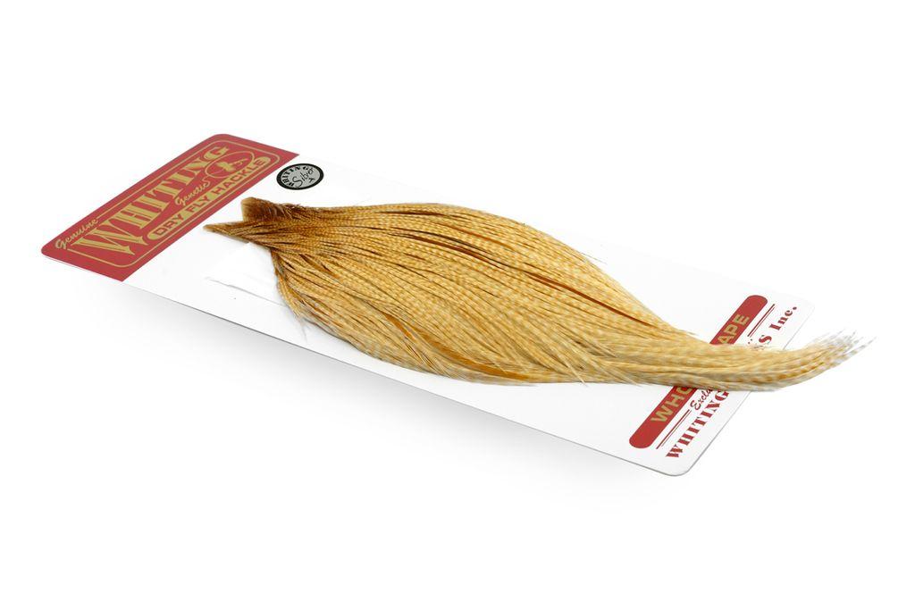 80b4676eb651c72cda6b5981b750f2af50ff5f28_A_251011