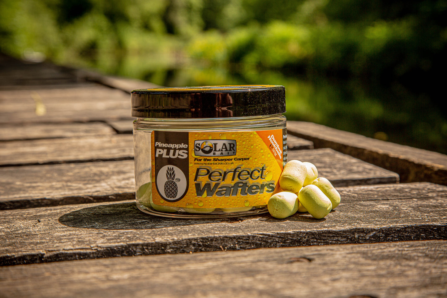 85f46352004faad699633454b6e3e28da2b15c9a_A_113888