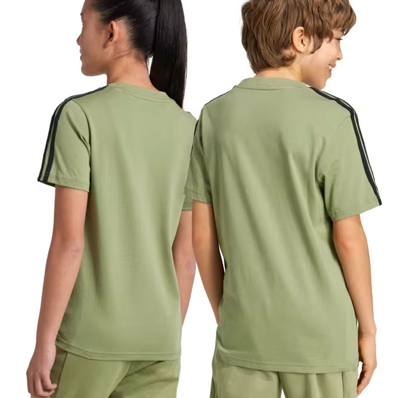 9794623760768159a26f3e932ab403d34cf14d10_A_201637_10_6