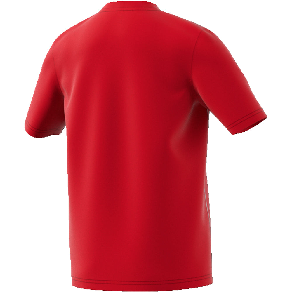 b9afaedc5ee030c63744255d316da3437e66210e_A_92611_3_7