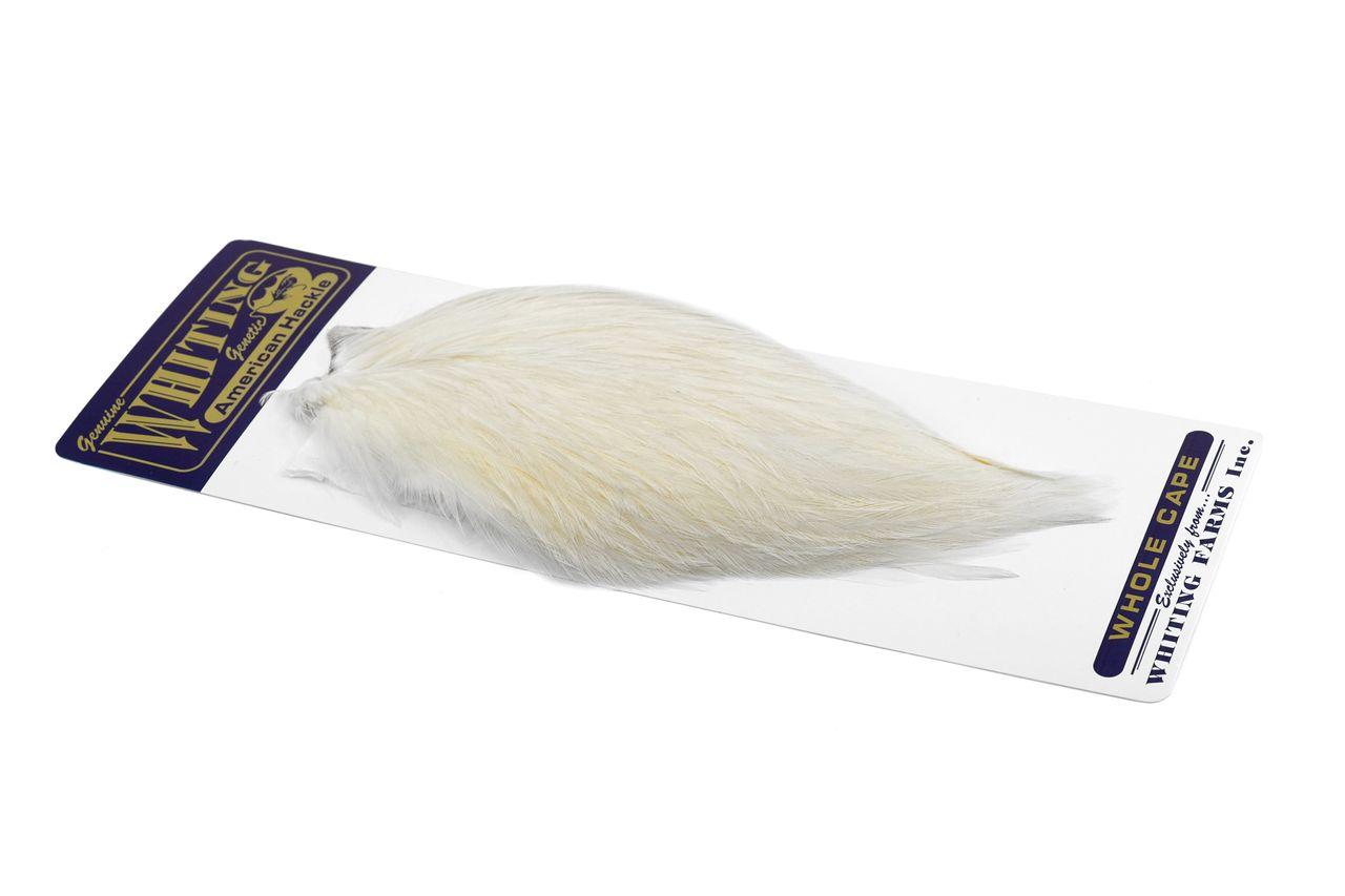 c0194dbb892fce0687bcf3d505e7a3a000b957d8_A_251634