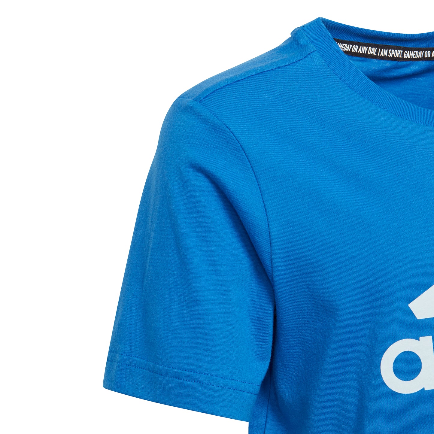 cef4576d3851a382110bdf7ce2754a004b15a0db_A_96454_1_0