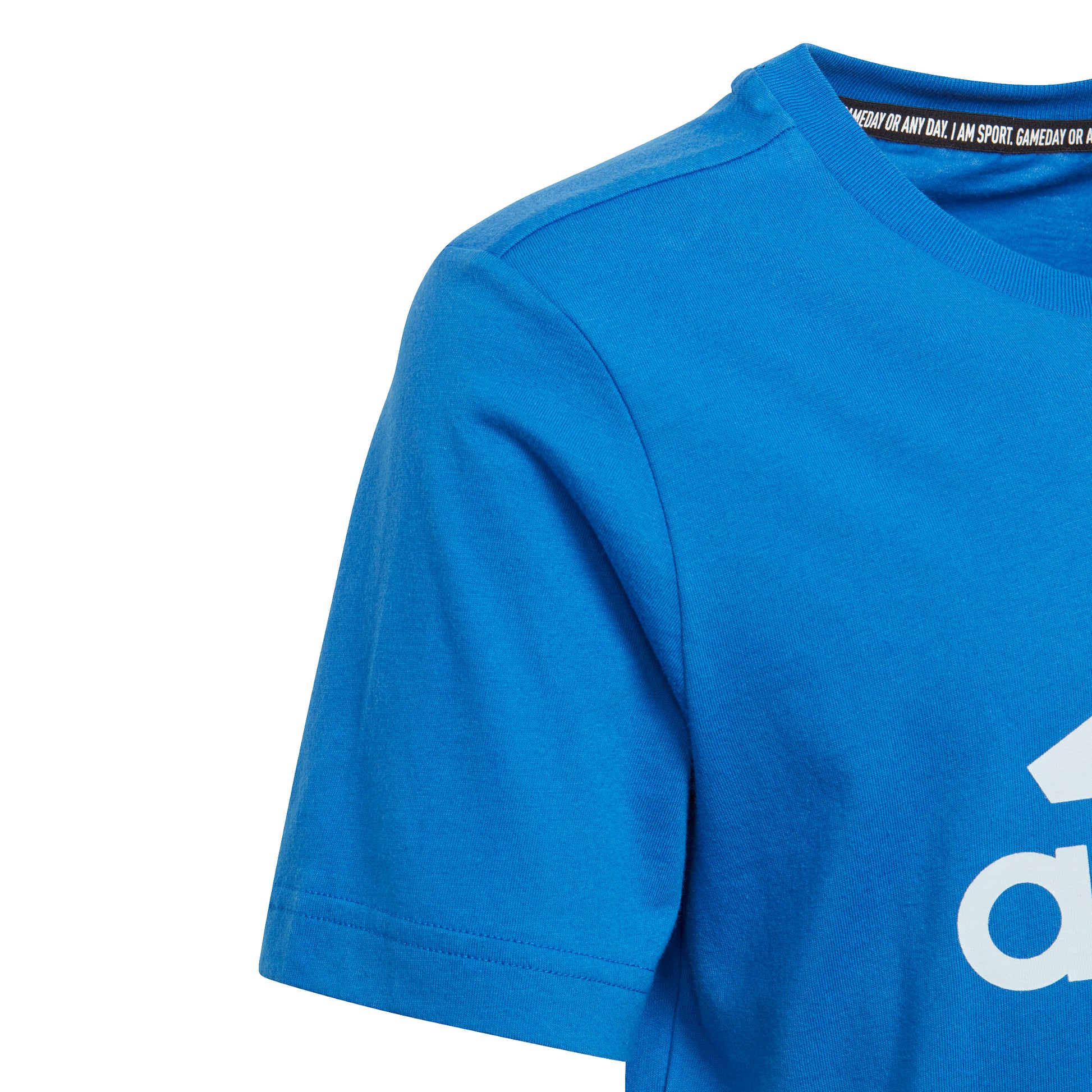 cef4576d3851a382110bdf7ce2754a004b15a0db_A_96454_1_0