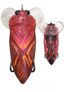 d08234474de2a4091f71316d55fcbfa58fa05271_A_114823_3_0