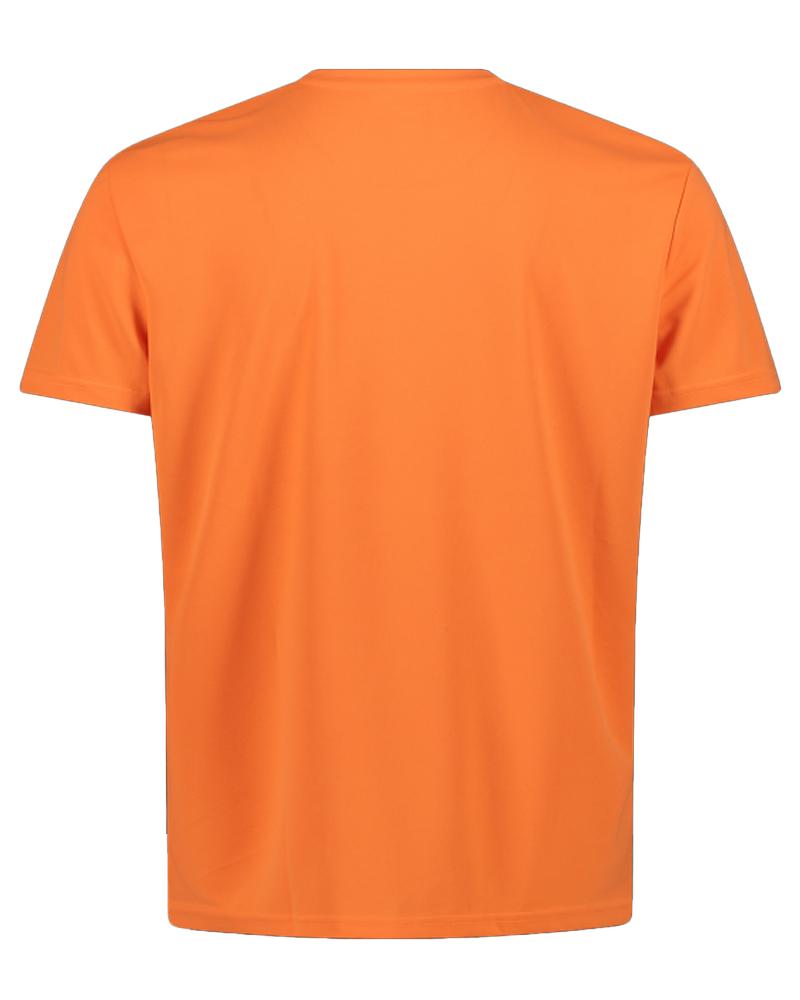 dae87294f5a9390a5af8e742e75b7a2391976a2d_A_225692_9_0