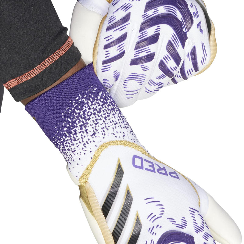 e2cd94d4406ed789f703604579f03f242f9f6054_A_227205_7_0