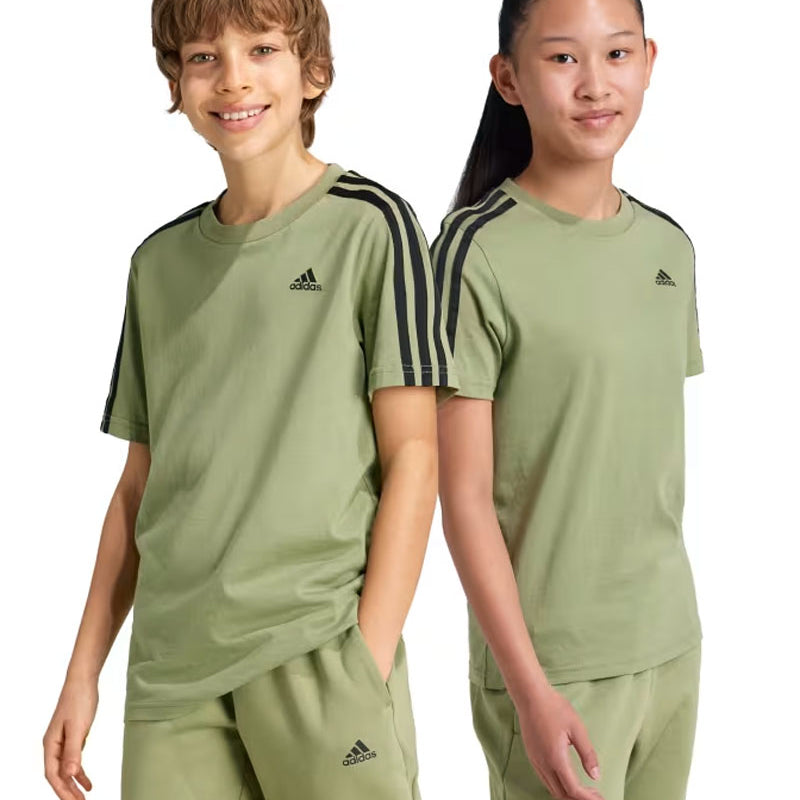 ef4048f03b6b97e06939edb451433e18cf029eab_A_201637_10_6