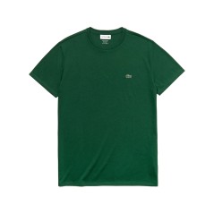 T-shirt de Jersey Pima verde