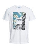 T-shirt Junior Tropic Avant