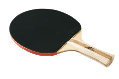 Raqueta de ping-pong de Formación de 2 Estrellas