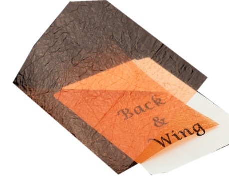 Wing foil arancio