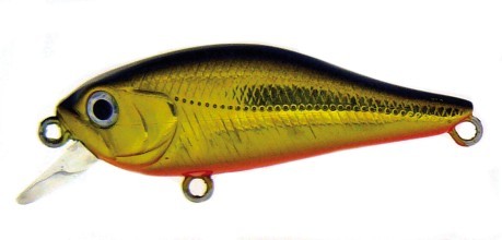 Artificiale Art Shad 40 mm
