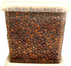 Bucket Grain Berries d' Maple 4 Kg