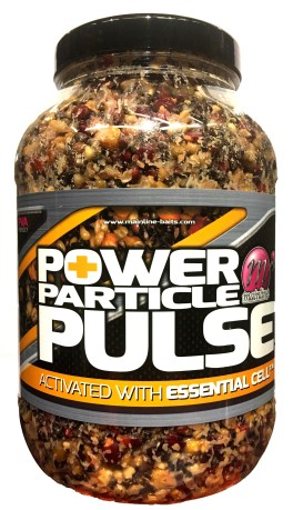 Power Particle The Pulse Essential Cell