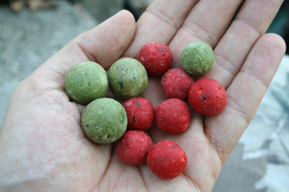 boilies dumbell