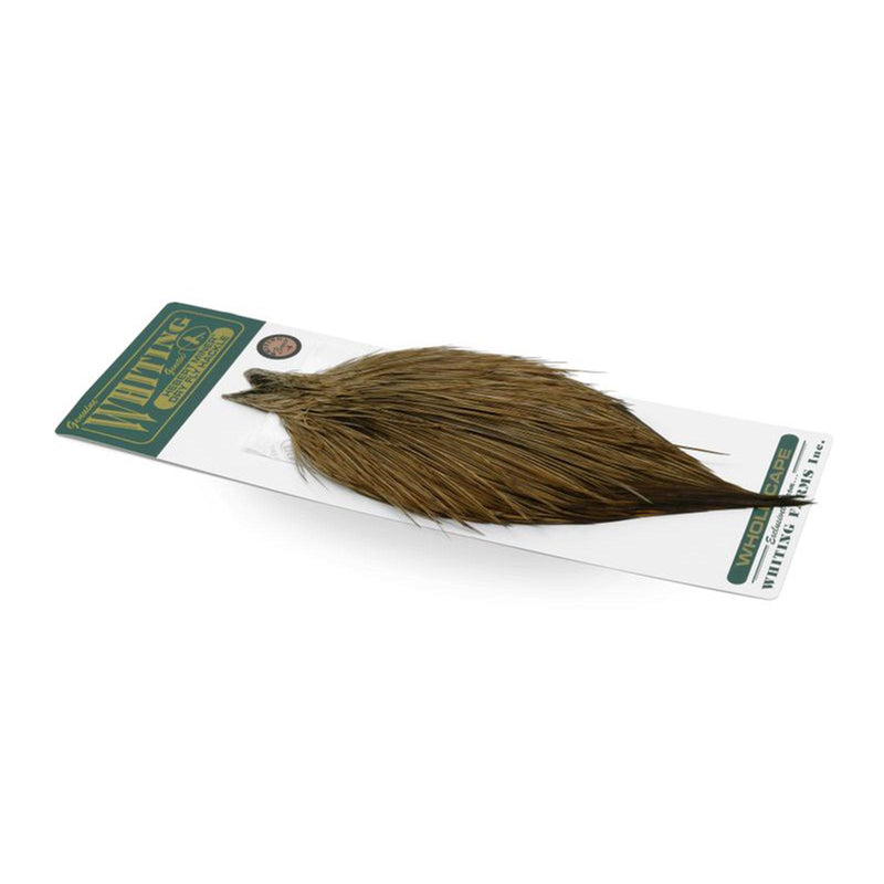081862b3701d433662a22b3c04df0d782b677241_A_264360