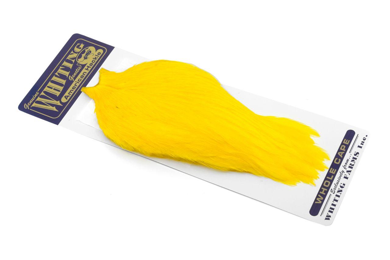 0f8acd4766ea229e84131bad4390192518fa33b9_A_251638