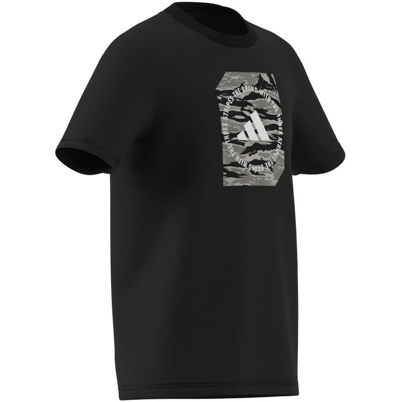 113191fda6538860cfab9400f8a40ae57d56989b_A_248666_6_0