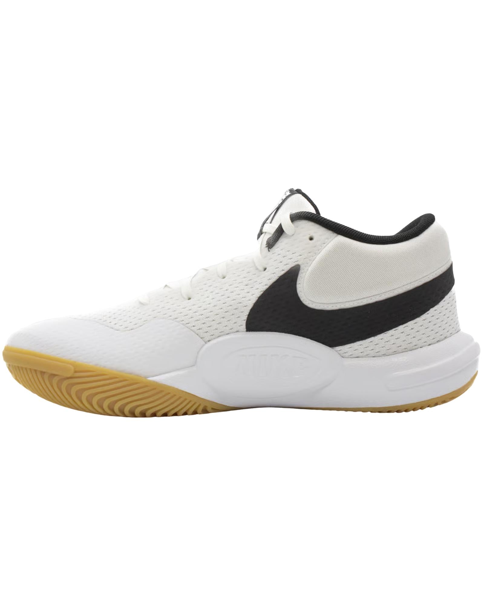 11e06a8e07c5dd2a8e4928e3d6ff64dd91ada01f_A_248528_7_6