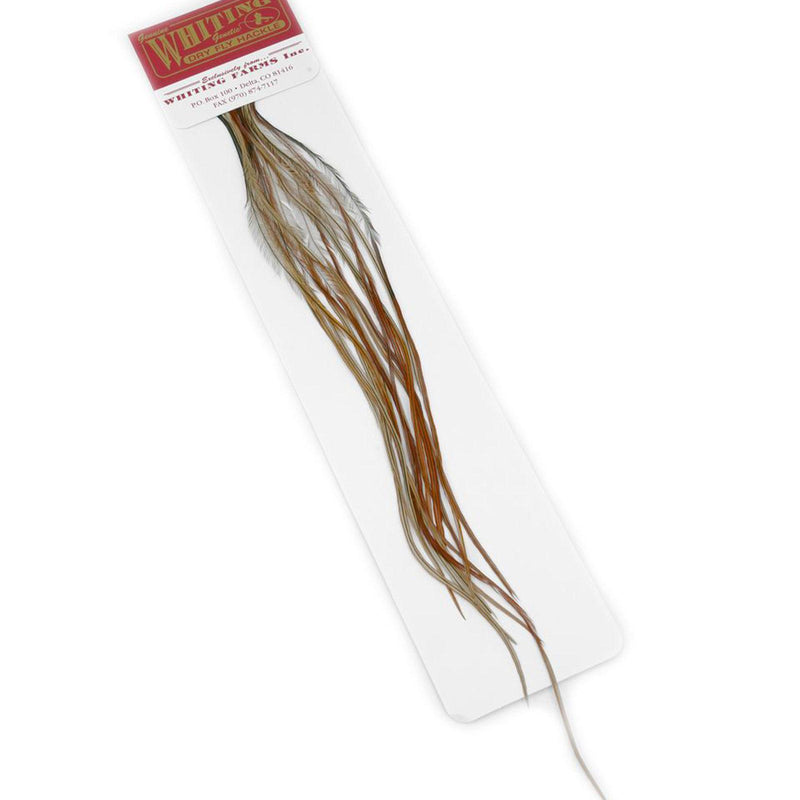 124a7a631bc14e31f4d11909c5d486e60736a80c_A_264570_9_7