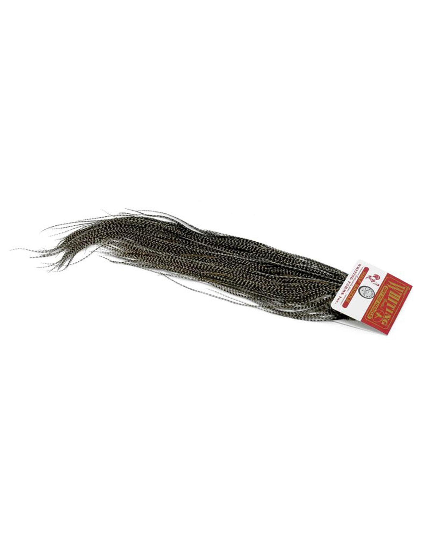 181a2f578a0553c680090f93f35681035c98ce43_A_264669
