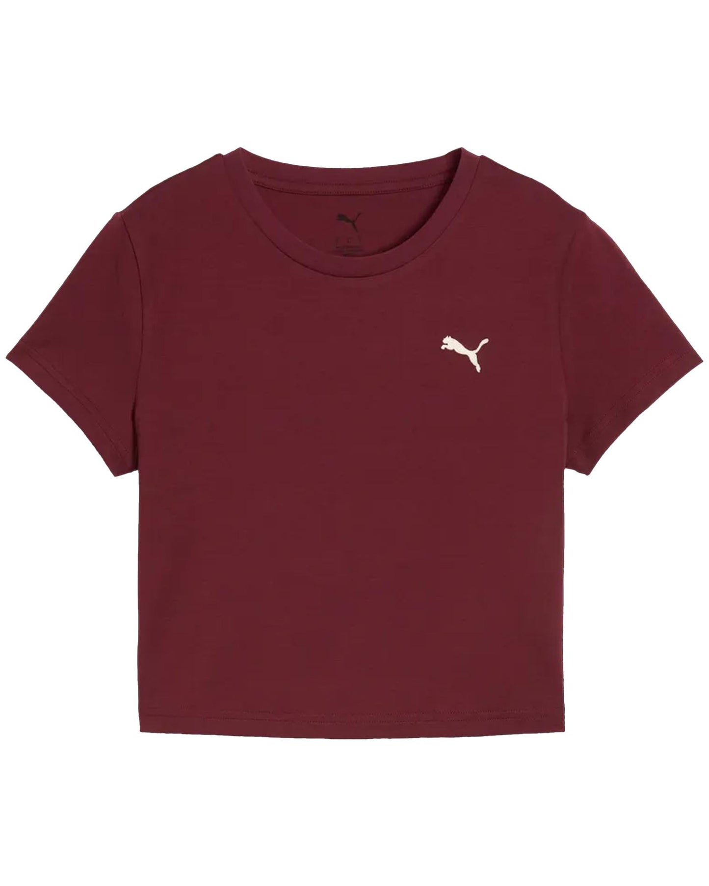 2be248090731556b6328d5082ee3b498d89bc85b_A_242576_3_0