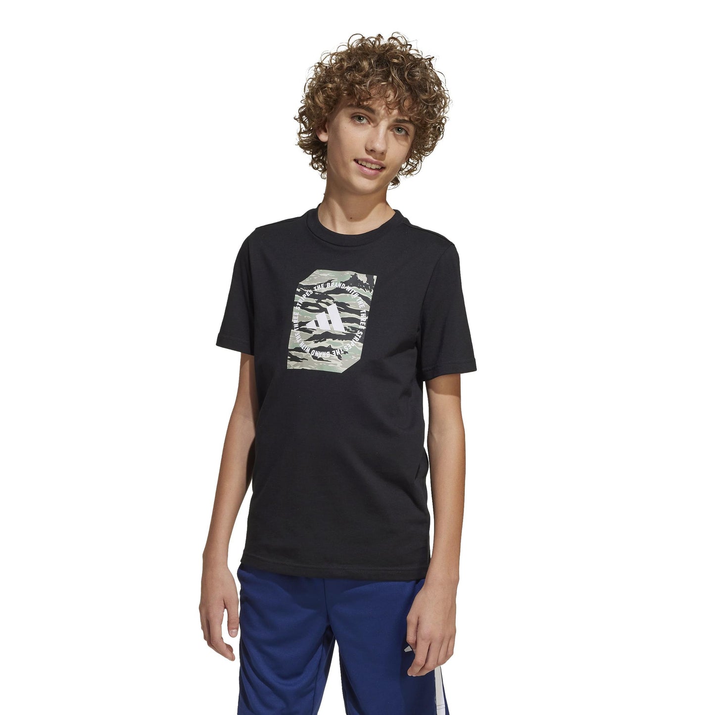 34b96e993ef4cb0215ec21376f982a75cd0ce8c9_A_248666_6_0