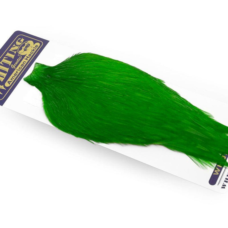 373963a8f94788a095262e1916e55082342ce64a_A_251640