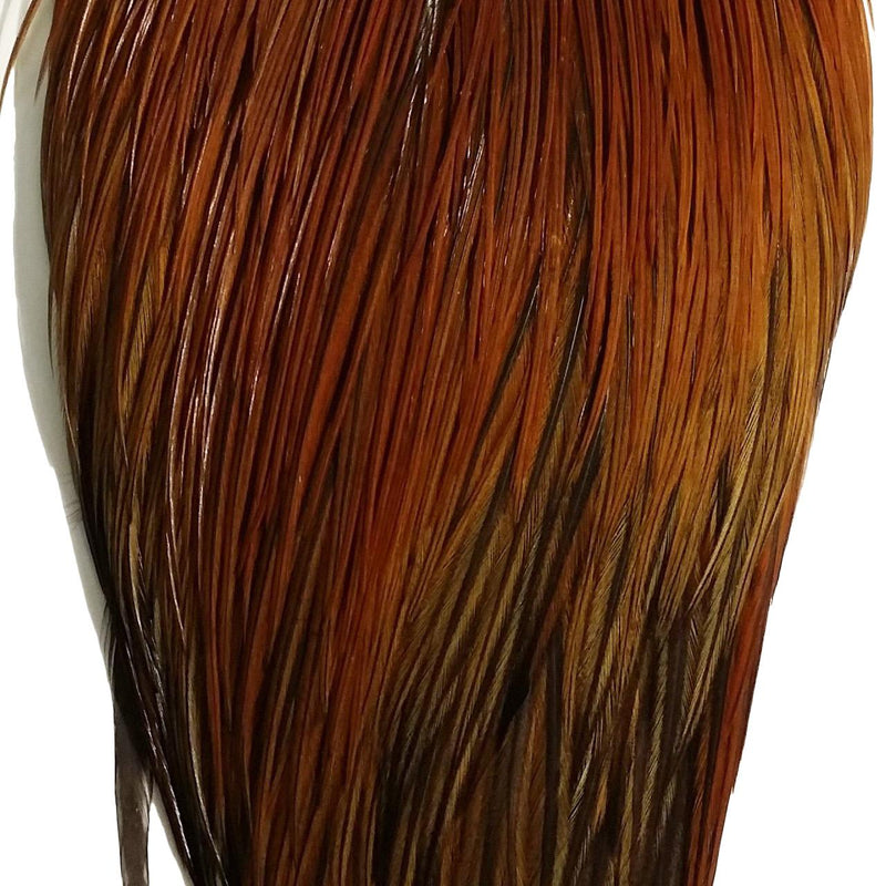 37ee49145407421f26e5d8ba2153ebd1200834ad_A_29868