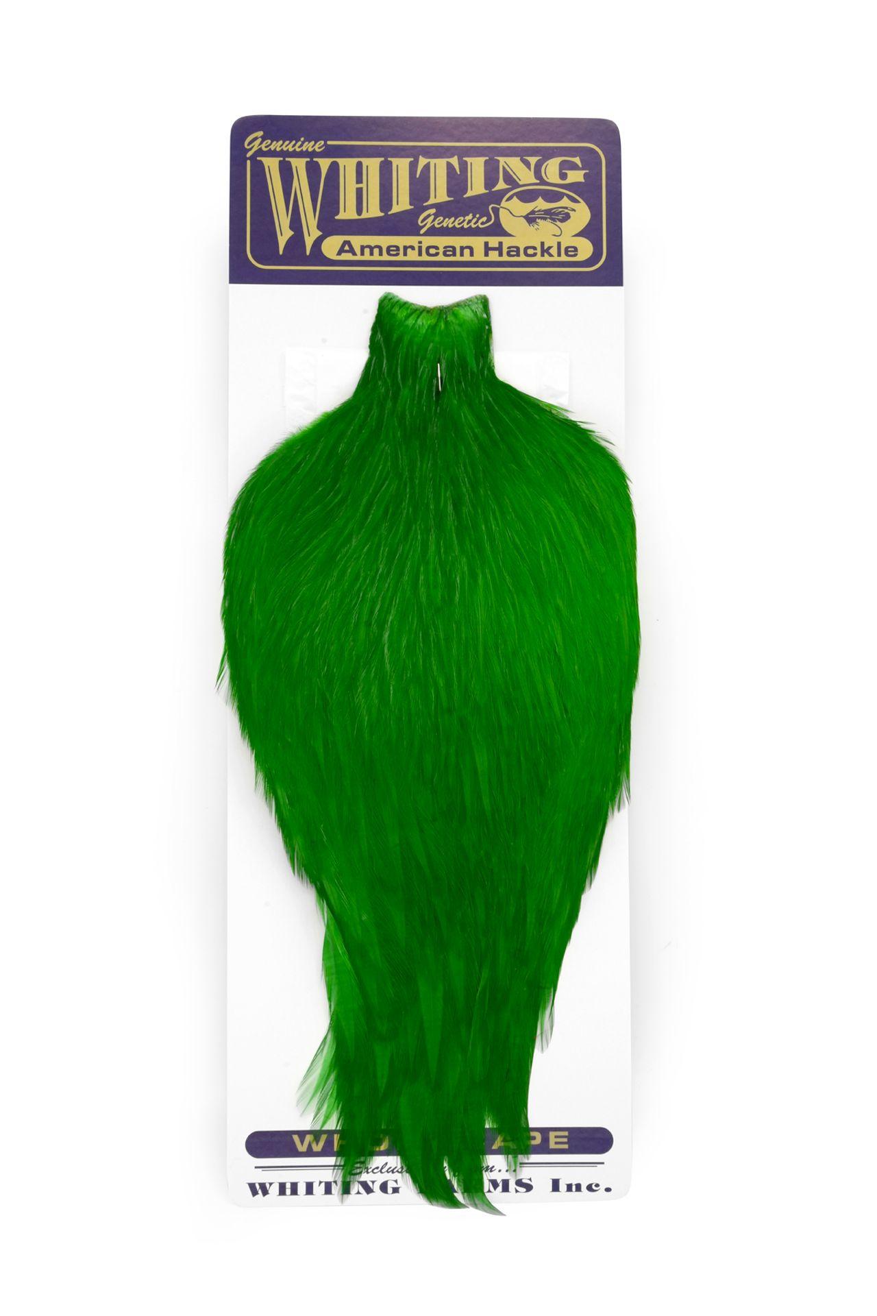 3b3ba48a03636cb217c222a4a69307d1884cc6d1_A_251640_10_0