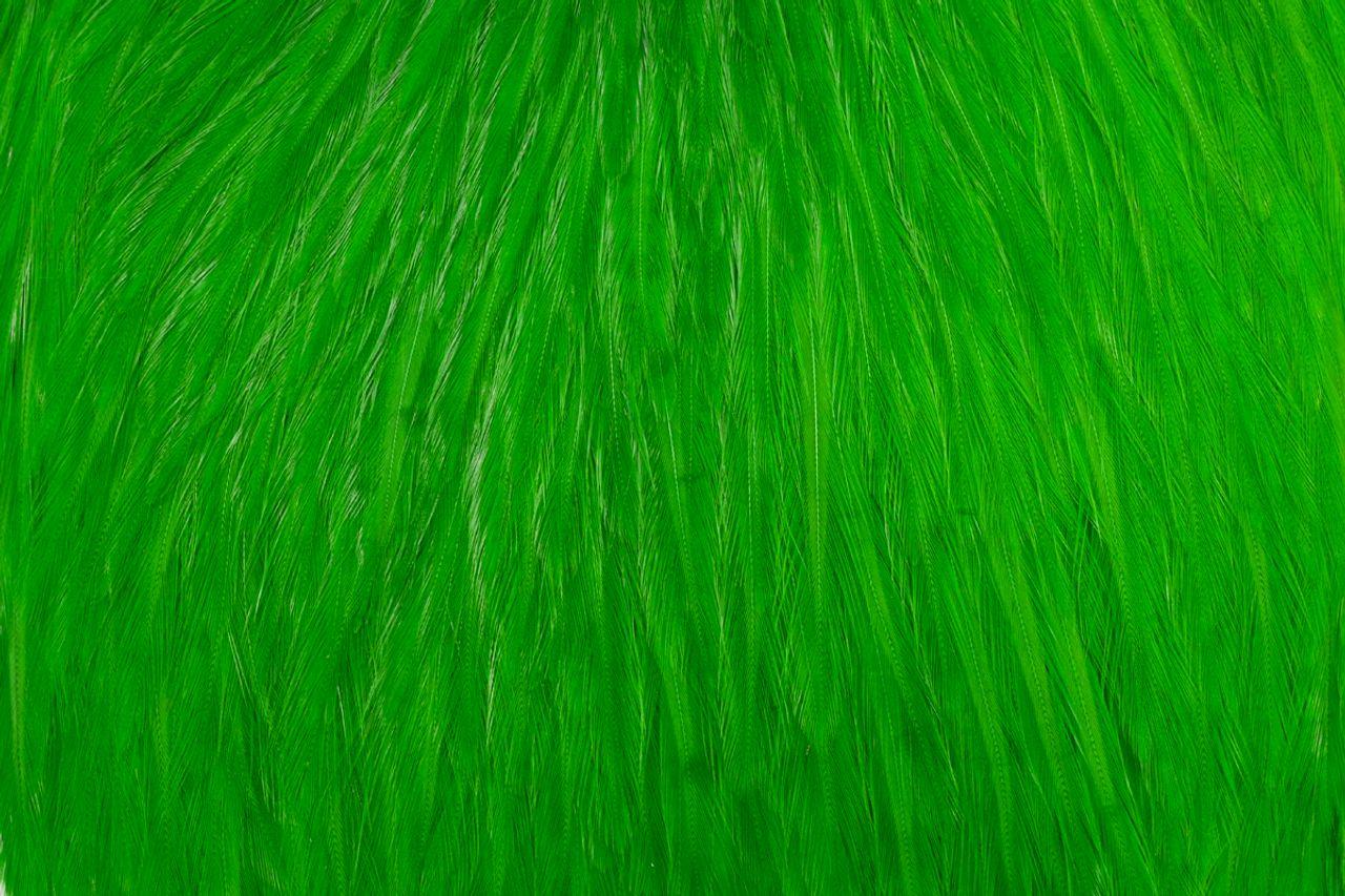 3e700fa91739f1678c84185d3e4dabbcce7df95d_A_251640_10_0