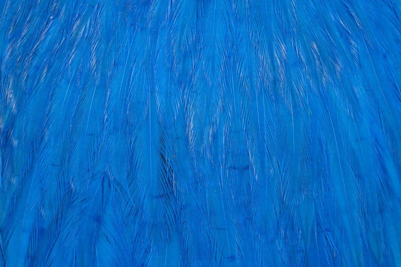 40f9a5fe58e3a40e56a41ce7629d5454be1c7044_A_251639_1_0