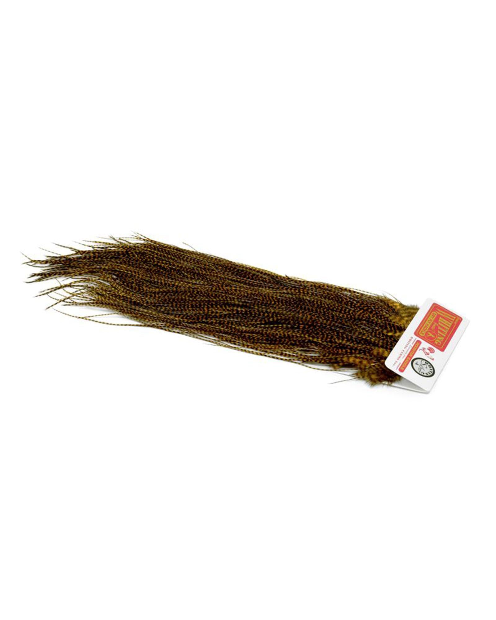 41322812c3180f31cc5ad48c2abd8003c58d912a_A_264786_11_0