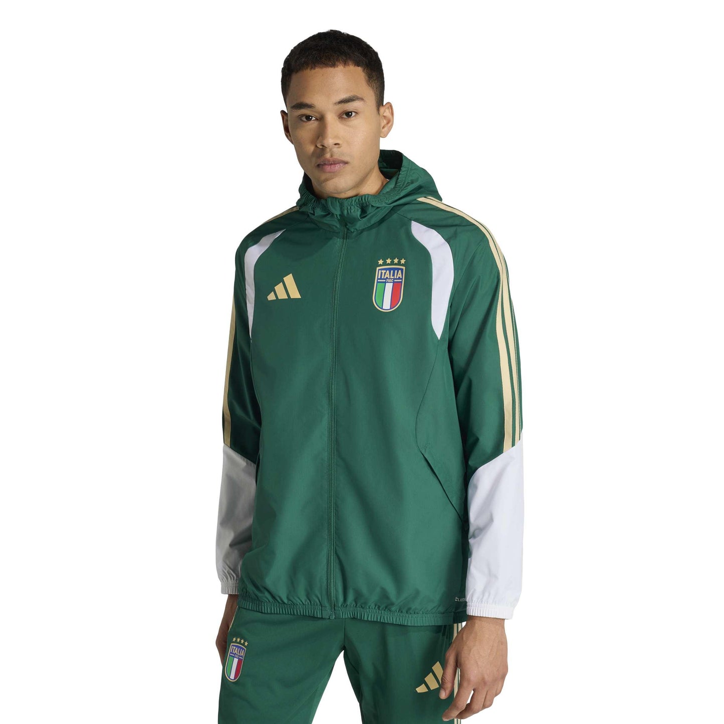 428acdf6f21ab158d2075cbd986ffb47f1879e62_A_248658_10_0